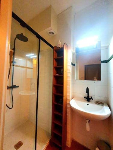 une salle de bain avec un lavabo et une douche dans l'établissement Au coeur de Collioure, à Collioure