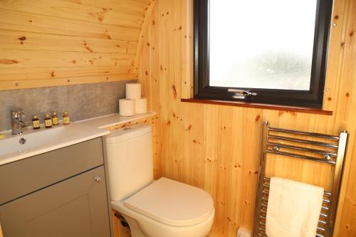 a bathroom with a toilet and a sink and a window at The Kellbank in Gosforth