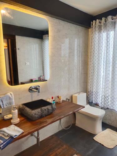 a bathroom with a sink and a toilet and a mirror at THE ENGLISH COTTAGE in Darjeeling