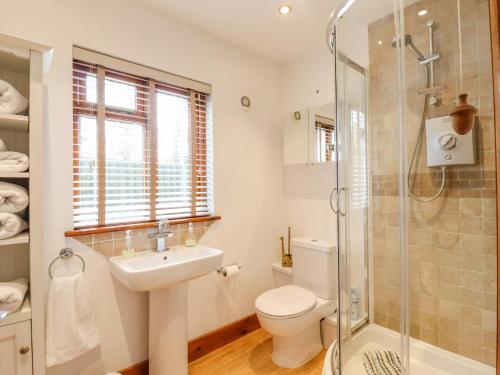 a bathroom with a toilet and a sink and a shower at Beulah Cottage Annexe in Ashford