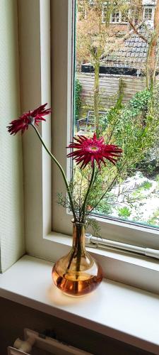 two red flowers in a vase on a window sill at Overbosch in Bilthoven