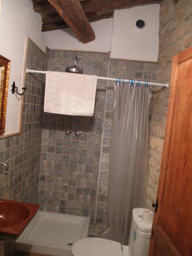 a bathroom with a toilet and a shower curtain at L'Esgolfa de ca l'Ortís in Figuerosa