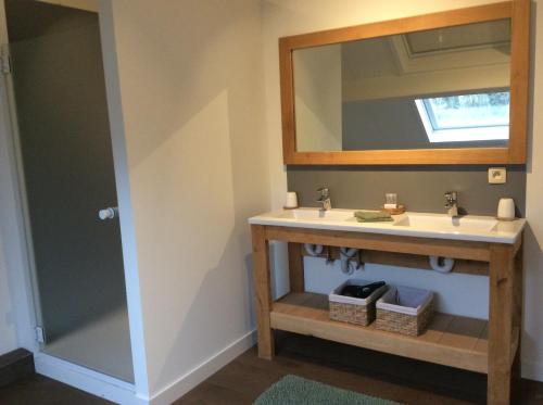 La salle de bains est pourvue d'un lavabo et d'un miroir. dans l'établissement Truyenhof, à Brée