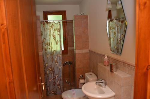 a bathroom with a shower and a toilet and a sink at Archontiko tou Ziaka in Ipáti