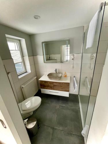 a bathroom with a sink and a toilet and a mirror at Landhotel Zum Hirsch in Unterweißbach