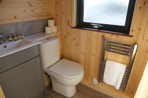 a bathroom with a toilet and a sink and a window at The Kellbank in Gosforth