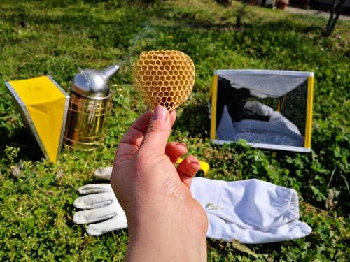 a persons hand holding up a tennis ball on a comb at La Fattoria Barbini B&B in Viterbo