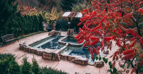 a fountain in a garden with red flowers on a tree at Spa Hotel Dvoretsa in Velingrad