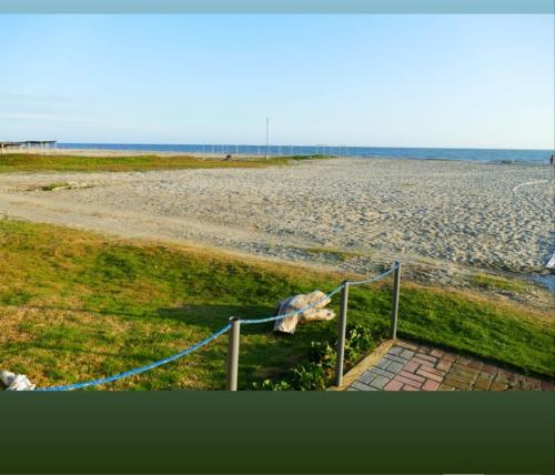 a dog laying on the beach next to a fence at Ecusuites Playas Preference Penthouse Jacuzzi & Vista Mar in Playas