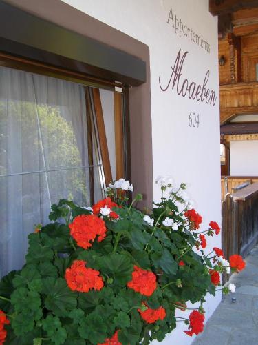 Φωτογραφία από το άλμπουμ του Appartement Moaeben - Panorama σε Alpbach