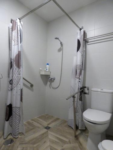 a bathroom with a shower and a toilet at Casa Veiga 1 in Pontevedra