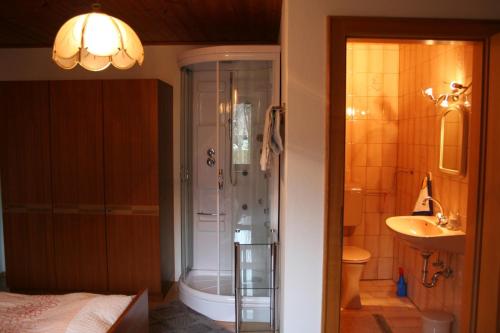 ein Bad mit einer Dusche und einem Waschbecken in der Unterkunft Ferienwohnungen Grabnerbauer in Mondsee