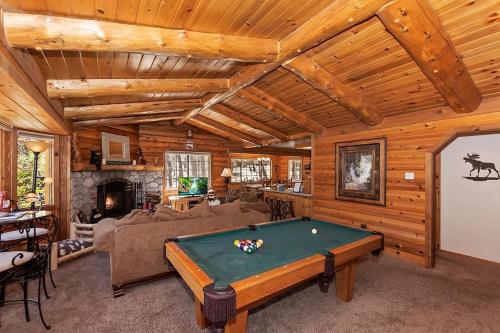 018 - Bearly Home – Photos 2