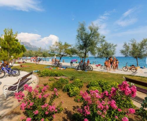 Príroda v okolí apartmánu