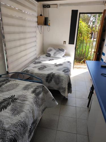 two beds in a room with a cat standing between them at Terminal Pajarito in Santiago