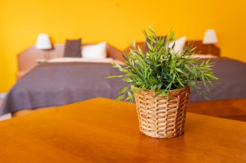 a potted plant sitting on a table next to a bed at Hotel Nahetal in Gensingen