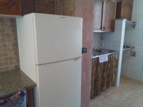 a kitchen with a white refrigerator and a sink at l'impossibile in Appiano Gentile