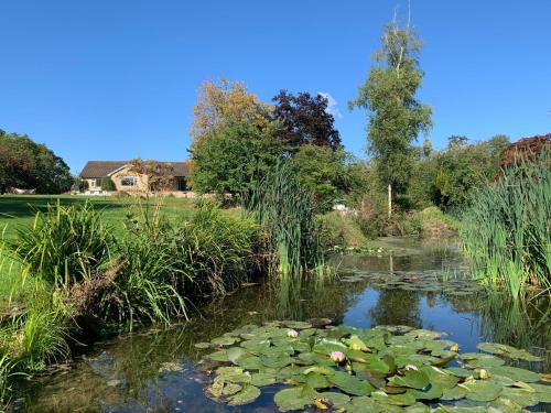 Gallery image of The Quackery in Langport