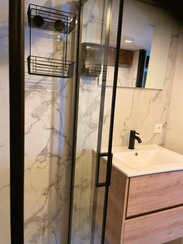 a bathroom with a shower and a sink at Valkenhof in Valkenburg