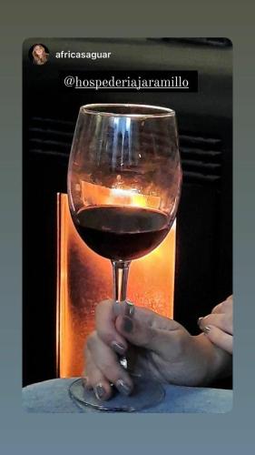 a person holding a glass of red wine at La Sinagoga in Peñaranda de Duero