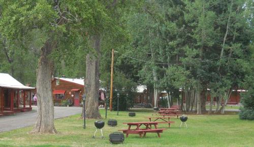 a group of picnic tables in a park with trees at Elkhorn Lodge in Chama