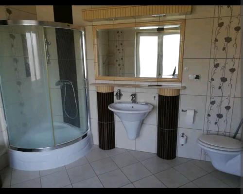 a bathroom with a shower and a sink and a toilet at Apartament w domu z kominkiem i ogrodem in Reda