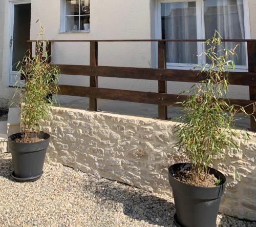 zwei Pflanzen in Töpfen neben einem Zaun in der Unterkunft maison chaleureuse en plein coeur de Livarot in Livarot