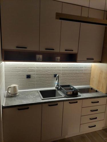 uma cozinha com pia e bancada em Apartlux Helena1 em Divčibare