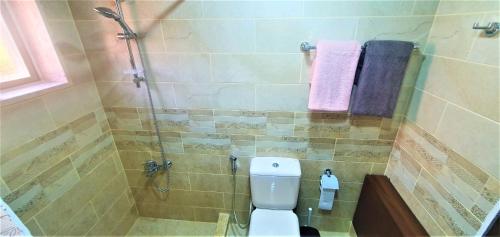 a bathroom with a toilet and a shower with purple towels at GMT Residence in Madaba