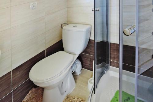 a bathroom with a toilet and a glass shower at Holiday resort, Wiselka in Wisełka