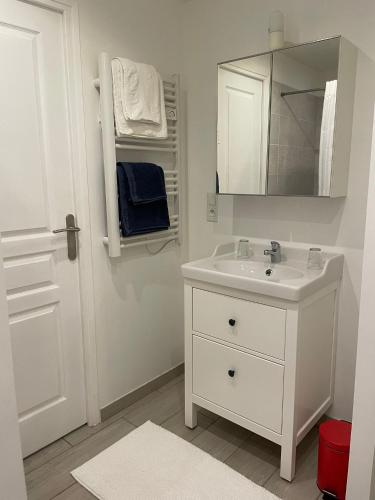 une salle de bain blanche avec un lavabo et un miroir dans l'établissement Joli gîte à Chéroy, à Chéroy