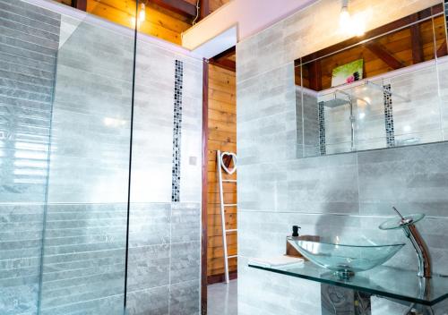 een badkamer met een glazen wastafel en een douche bij La Savannah Villa in Labuthie