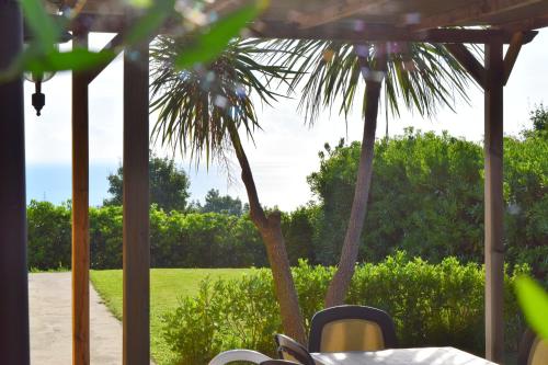 a porch with a view of a palm tree at Villa Manu in Lapedona
