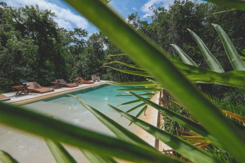 Piscine de l'établissement Wakax Hacienda - Cenote & Boutique Hotel - Small Luxury Hotels of the World ou située à proximité