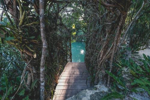 un chemin en bois menant à une piscine bordée d'arbres dans l'établissement Wakax Hacienda - Cenote & Boutique Hotel - Small Luxury Hotels of the World, à Tulum