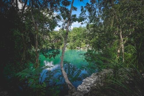 une masse d'eau au milieu d'une forêt dans l'établissement Wakax Hacienda - Cenote & Boutique Hotel - Small Luxury Hotels of the World, à Tulum