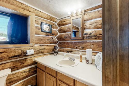 a bathroom with a sink and wooden walls at Fundir Cabin in South Fork