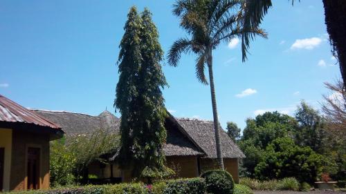 Imagen de la galería de Kilimanjaro Eco Lodge, en Usa River