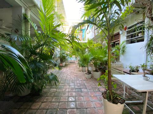 a hallway filled with lots of plants in a building at Hotel La Piazzetta in Mérida