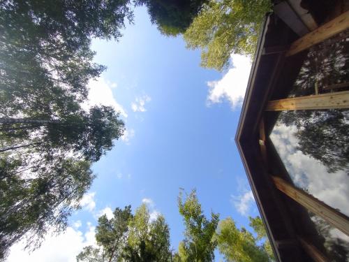 a view of the sky from the inside of a tree house at Dom Suwalszczyzna in Suwałki