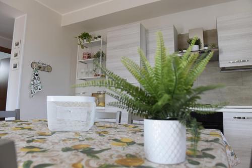 a potted plant sitting on a table in a kitchen at Fornillo 41 in Poggiomarino