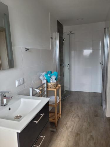 a bathroom with a white sink and a shower at Ferienwohnung Stoisser in Mureck