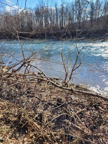 a bunch of branches on the side of a river at Ferienwohnung Stoisser in Mureck
