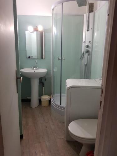 une salle de bain avec une douche, des toilettes et un lavabo dans l'établissement AJACCIO CENTRE VIEILLE VILLE IMPÉRIALE TT CONFORT TTES COMMODITÉS 3 a 4 PERs CATHÉDRALE A 300M MER PORT MARCHE LOCAL PLAGES, à Ajaccio