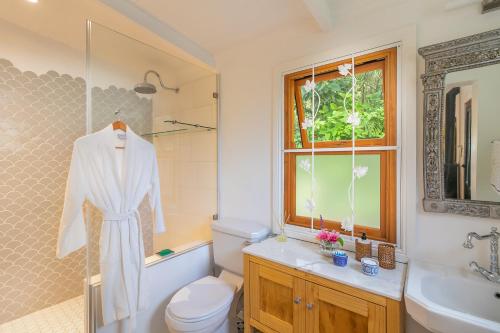 a bathroom with a toilet and a sink and a window at Ganzvlei Manor Cottage in Knysna