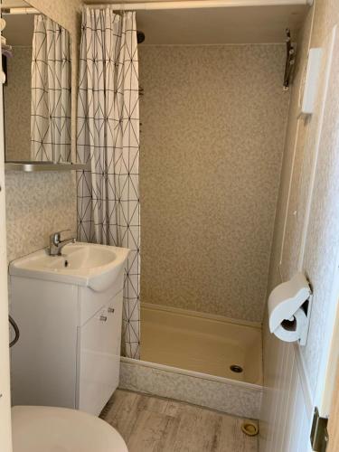 a small bathroom with a toilet and a sink at Beach House Giethoorn in Wanneperveen