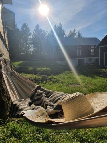 a person laying in a hammock in a field at Magasinet in Torsåker