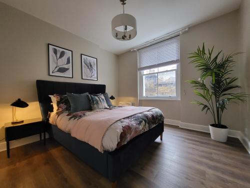 ein Schlafzimmer mit einem Bett und einer Topfpflanze in der Unterkunft 1 Bed Apartment Russell Square in London