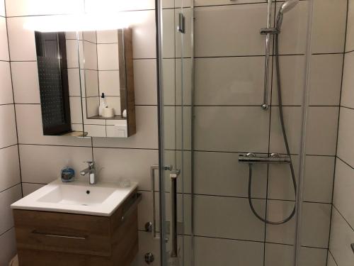 a bathroom with a shower and a sink at Haus Waldblick - Ferienwohnung Sonnenplätzchen, Bad Bergzabern in Bad Bergzabern
