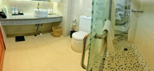 a bathroom with a toilet and a sink and a shower at Asia & Africa Hôtel in Antananarivo